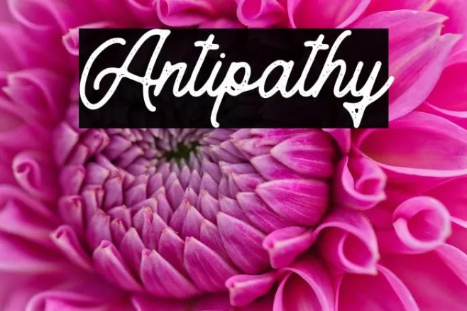Antipathy Example 2