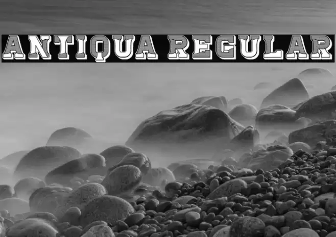 Antiqua Regular Font examples