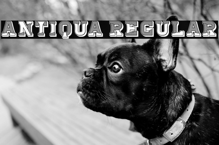 Antiqua Regular Example 2