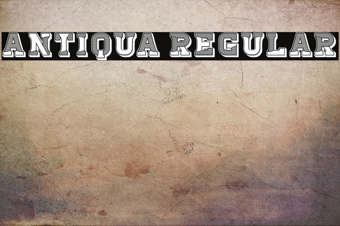 Antiqua Regular Example 3