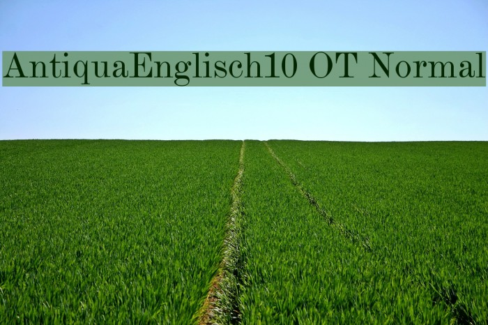 AntiquaEnglisch10 OT Normal Example 1
