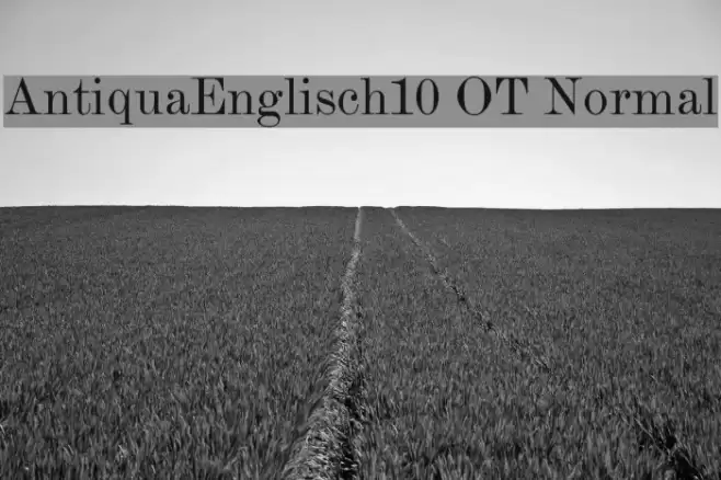 AntiquaEnglisch10 OT Normal Font examples