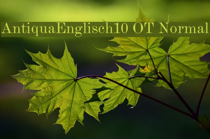 AntiquaEnglisch10 OT Normal Example 2
