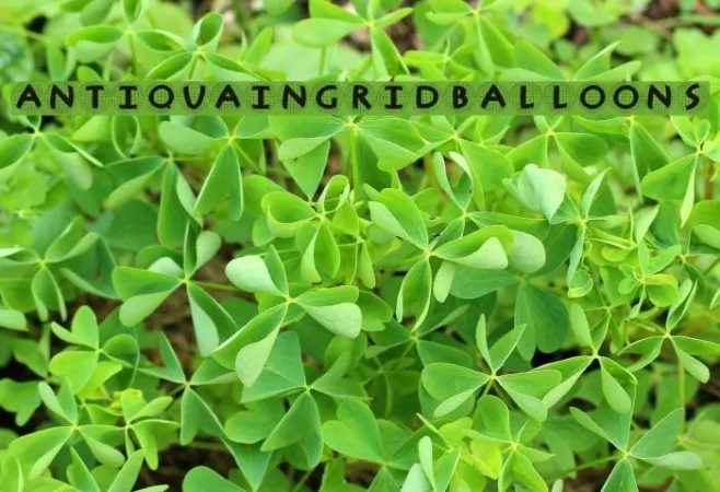 AntiquaInGridBalloons Example 3