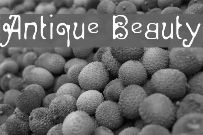 Antique Beauty Font examples