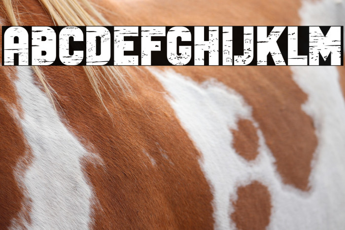 Antique Bold Example 1