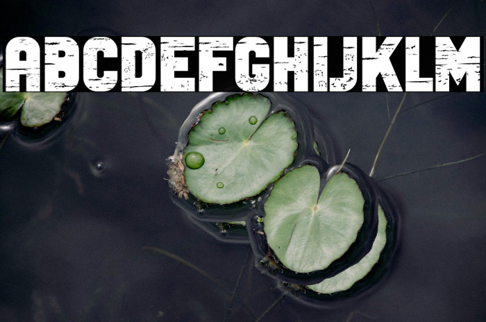 Antique Bold Example 3