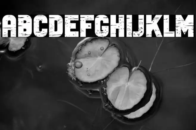 Antique Bold Font examples