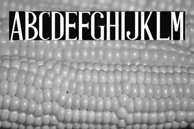 Antique Book Cover Font examples