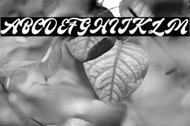 Antique Cable Font examples