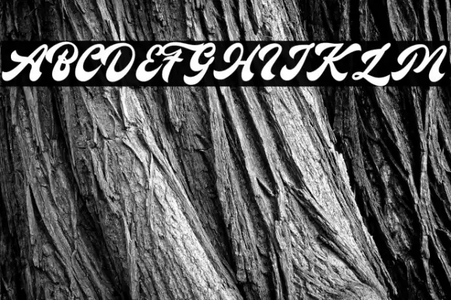 Antique Cable Font examples