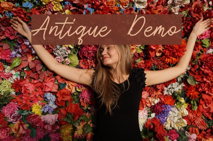 Antique Demo Font examples