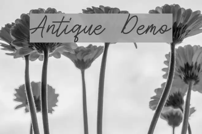 Antique Demo Font examples