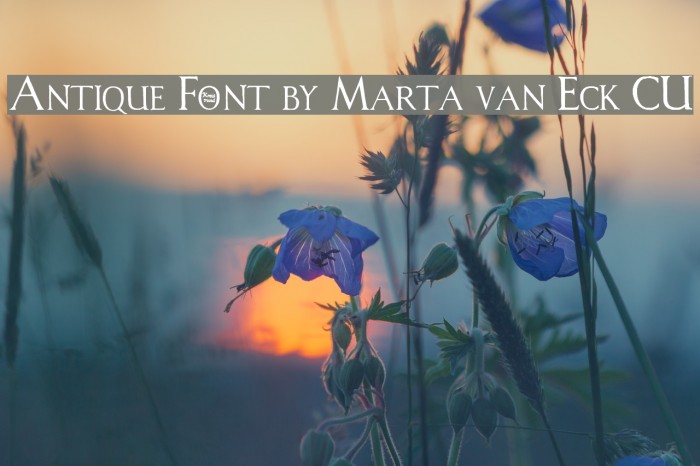 Antique Font by Marta van Eck CU Font examples