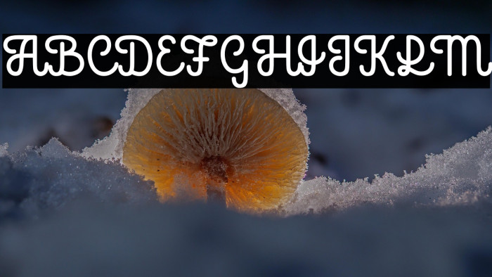 Antique Heritage Personal use Regular Example 2