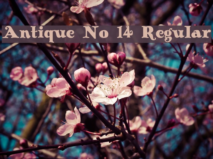 Antique No 14 Regular Font examples