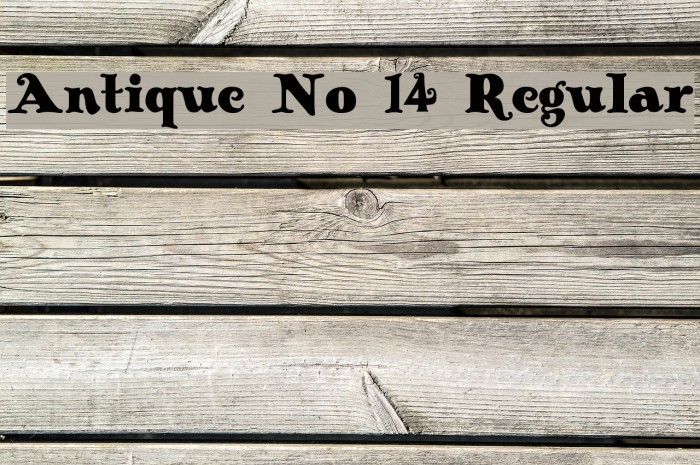 Antique No 14 Regular Font examples