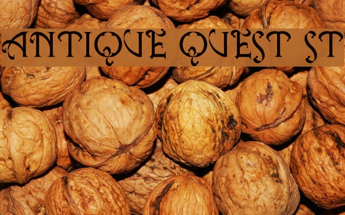 Antique Quest St Font examples