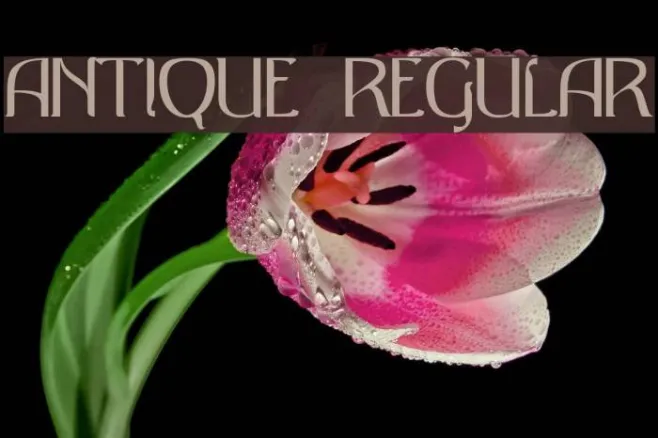 Antique Regular Example 2