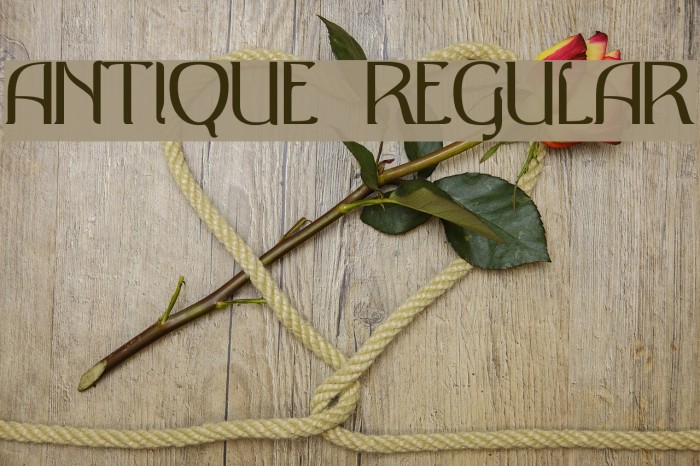 Antique Regular Font examples