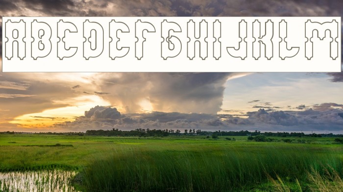 Antique Retro-Hollow Font examples