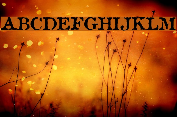 Antique Type Font examples