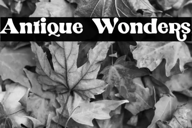 Antique Wonders Font examples