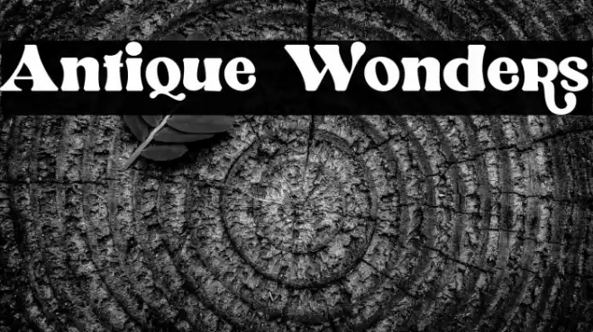 Antique Wonders Font examples