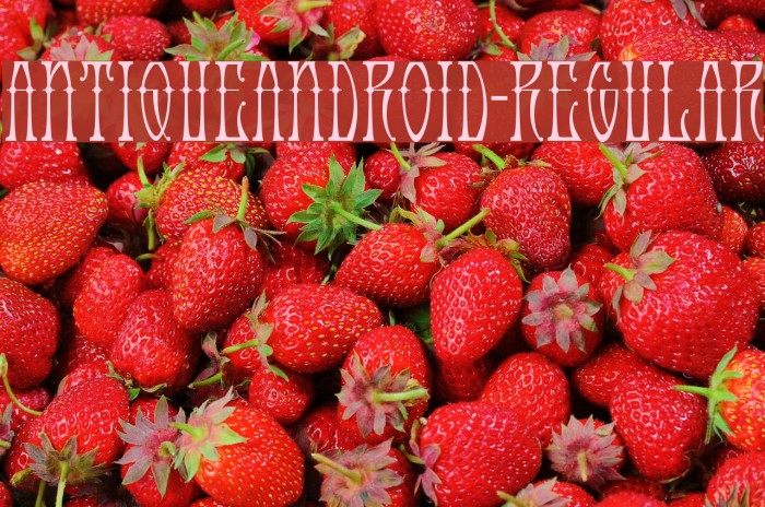 AntiqueAndroid-Regular Font examples