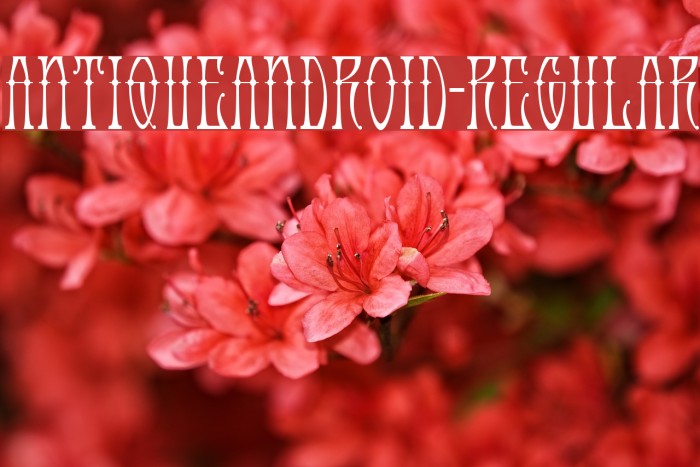 AntiqueAndroid-Regular Font examples