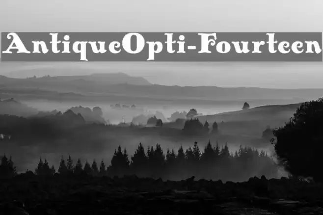 AntiqueOpti-Fourteen Font examples
