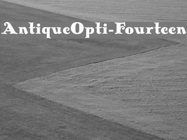 AntiqueOpti-Fourteen Font examples