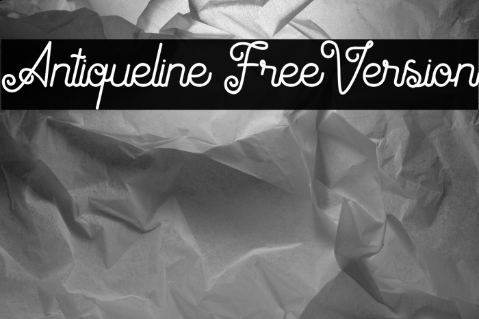 Antiqueline FreeVersion Example 1