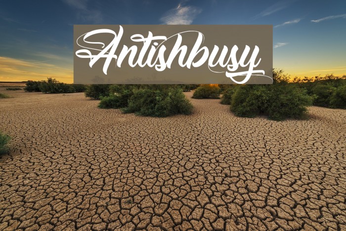 Antishbusy Example 1