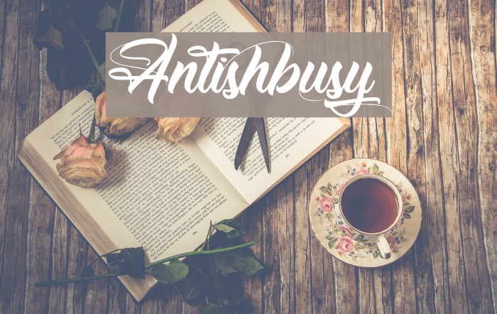 Antishbusy Example 3