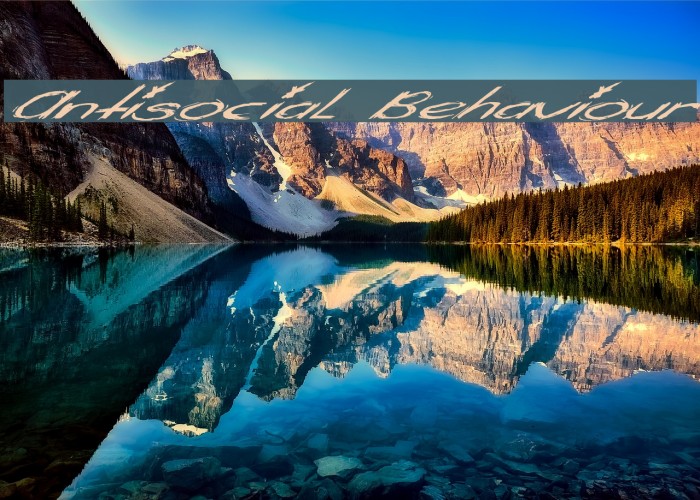 Antisocial Behaviour Example 1
