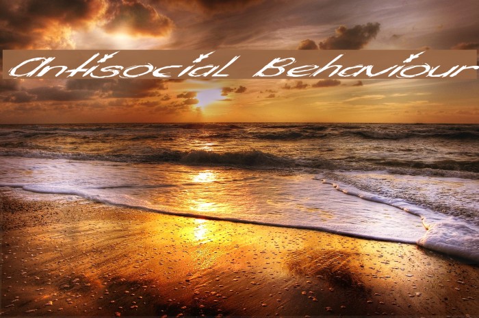 Antisocial Behaviour Example 3