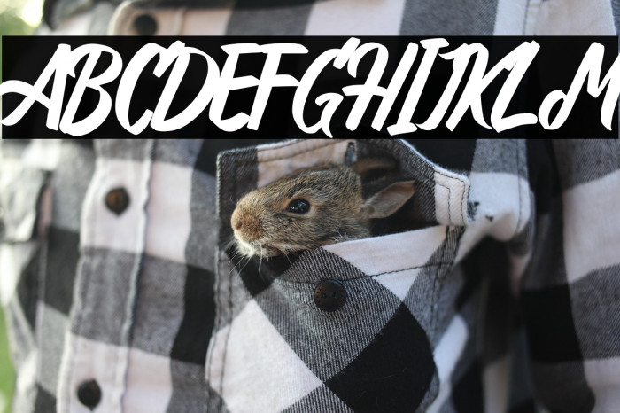 Antoine Regular Example 2