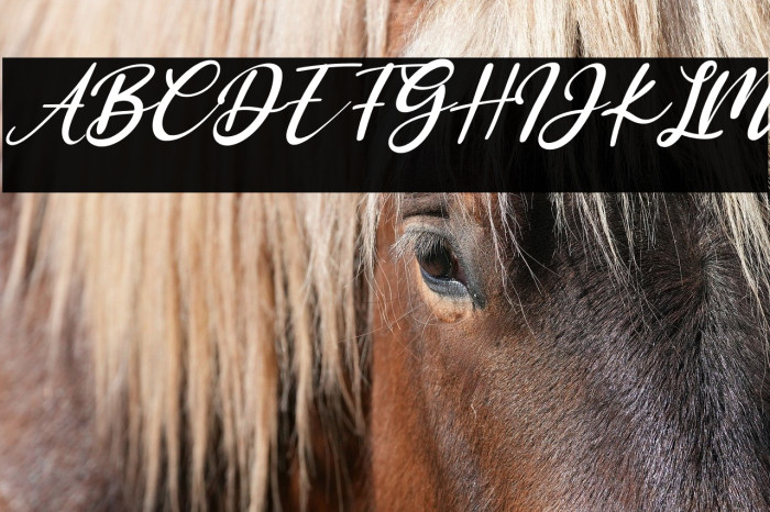 Antoinete Italic Example 3