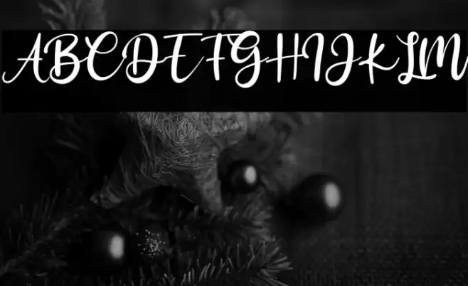 Antoinete Font examples