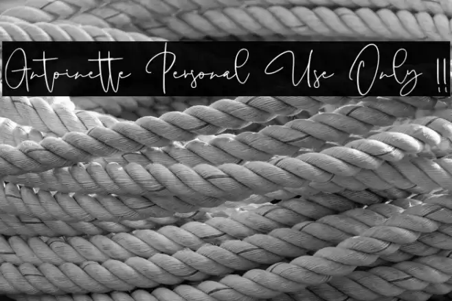 Antoinette Personal Use Only !! Font examples