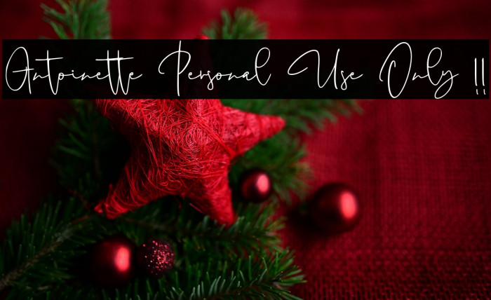 Antoinette Personal Use Only !! Polices examples