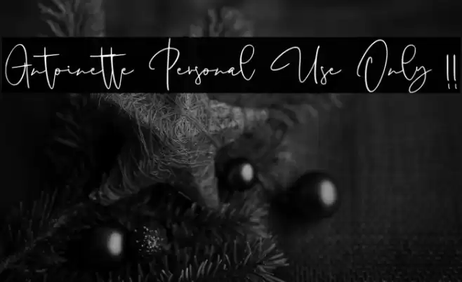 Antoinette Personal Use Only !! Font examples