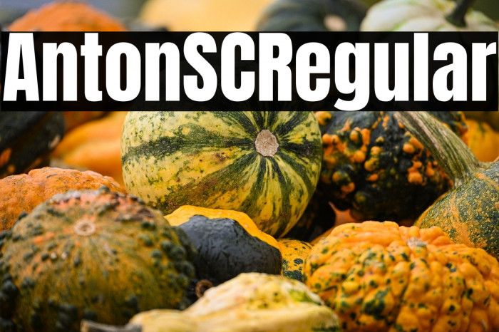 Anton SC Regular Example 1