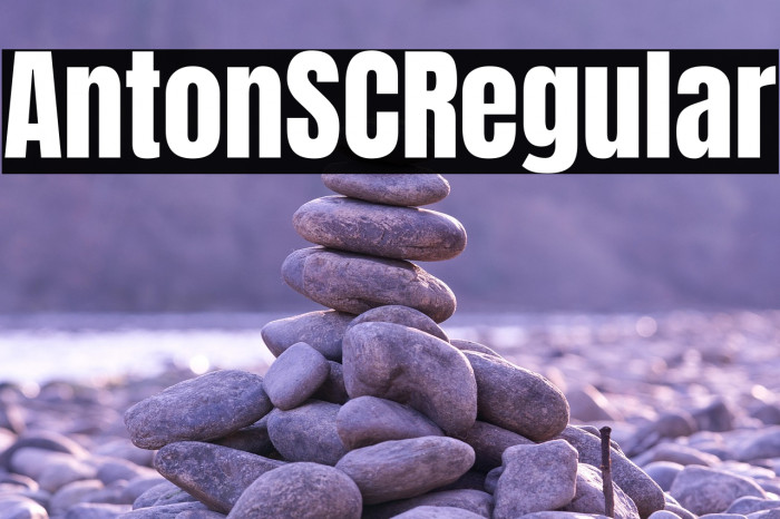 Anton SC Regular Example 2