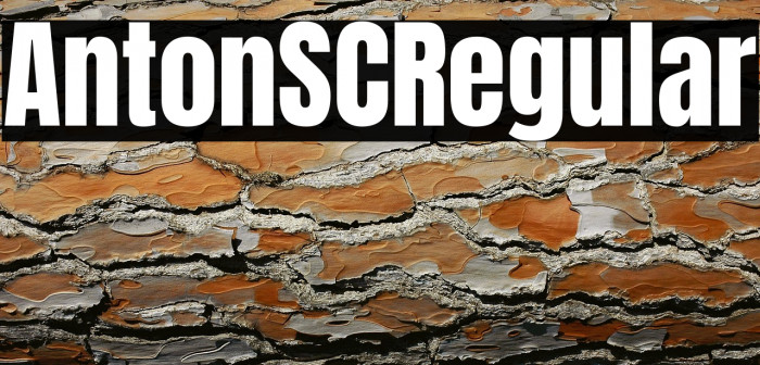 Anton SC Regular Example 3