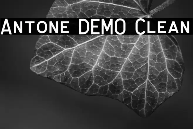 Antone DEMO Clean Font examples