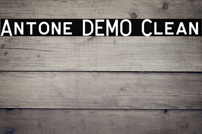 Antone DEMO Clean Example 2