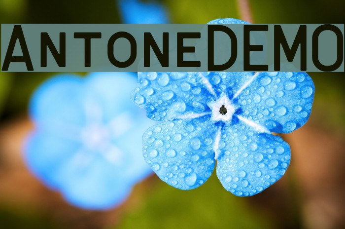AntoneDEMO Font examples