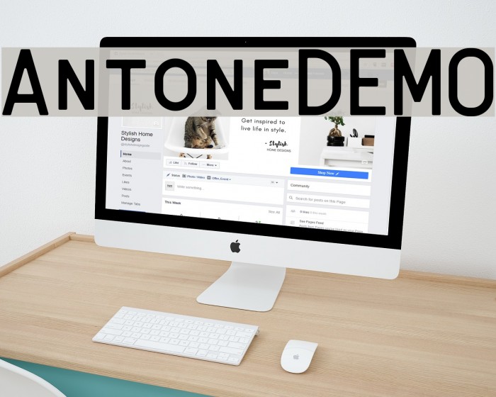 AntoneDEMO Font examples